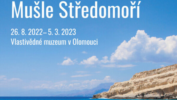 Mušle Středomoří