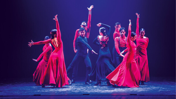 Kurz flamenca s Virginií Delgado