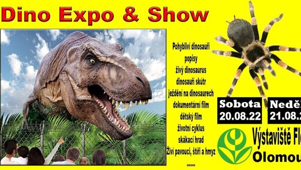 Dino Expo & Show & Spiders