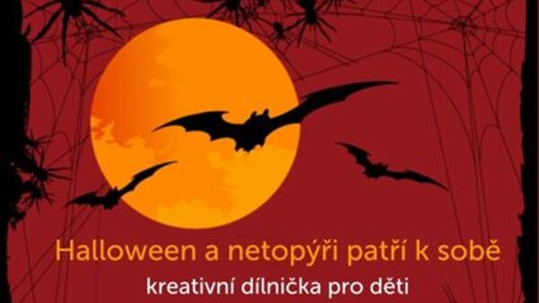 Halloween a netopýři patří k sobě
