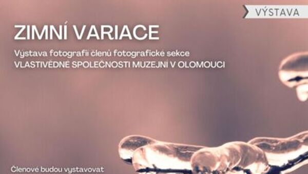 Zimní variace