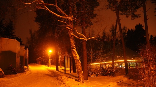 Vánoční strom pro zvířata