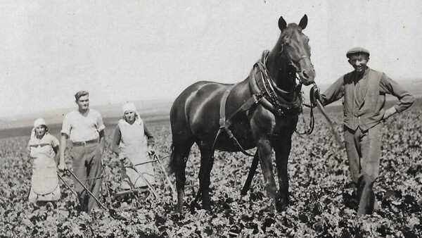Život předků na hanácké vesnici v letech 1848–1948