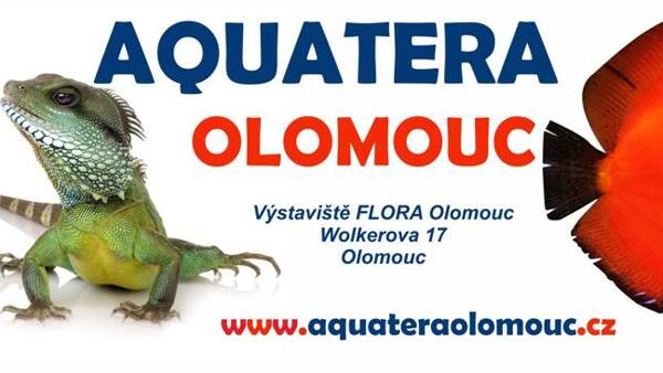 Aquatera Olomouc