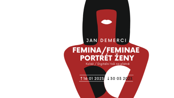 Jan Demerci: Femina / Portrét ženy