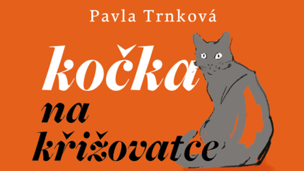 Kočka na křižovatce