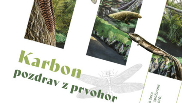 Karbon: pozdrav z prvohor