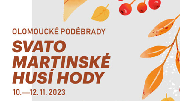 Svatomartinské husí hody