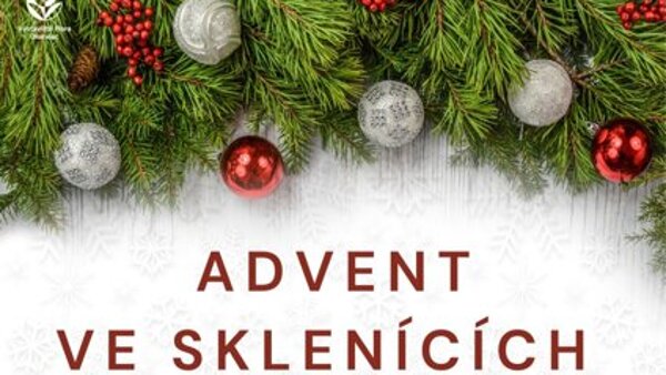 Advent ve sklenících