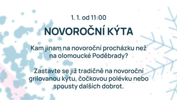 Novoroční kýta