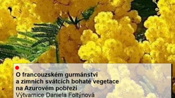 O francouzském gurmánství a zimních svátcích bohaté vegetace na Azurovém pobřeží