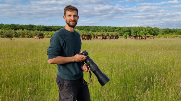 Kam kráčí sloni Střední Afriky a jejich pytláci?