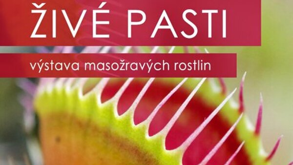 Živé pasti 2024