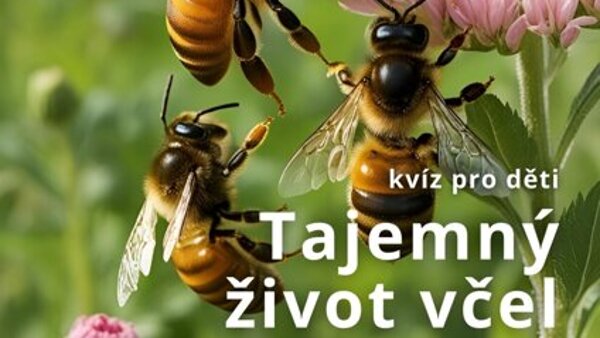 Tajemný život včel