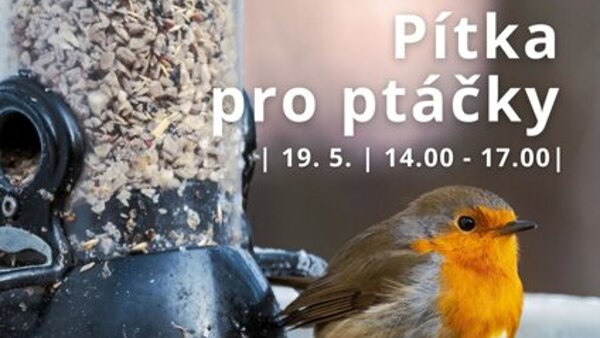 Pítka pro ptáčky