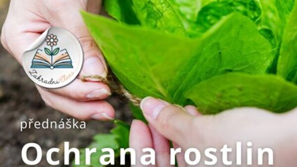 Ochrana rostlin