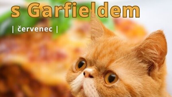 Kvízujeme s Garfieldem