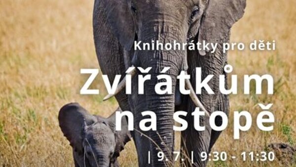 Zvířátkům na stopě: Africká savana