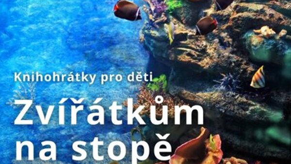 Zvířátkům na stopě: Podmořský svět