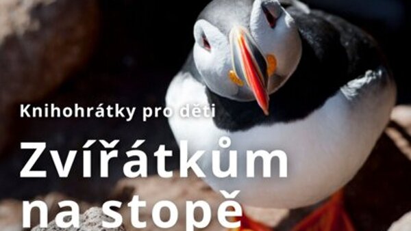 Zvířátkům na stopě: Papuchalkové