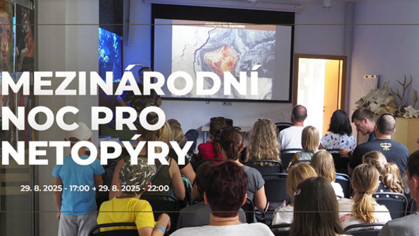 Mezinárodní noc pro netopýry