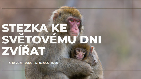 Stezka ke světovému dni zvířat