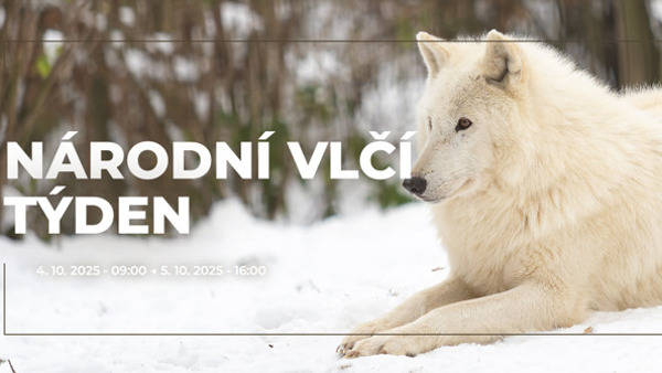 Národní vlčí týden