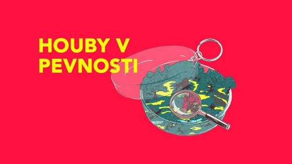 Houby v Pevnosti