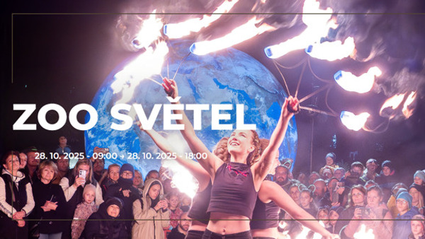 Zoo světel