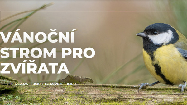 Vánoční strom pro zvířata