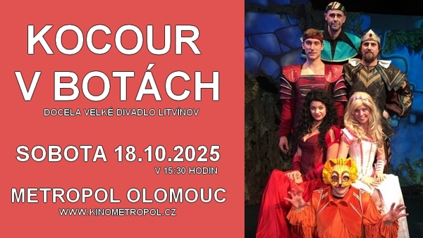 Kocour botách