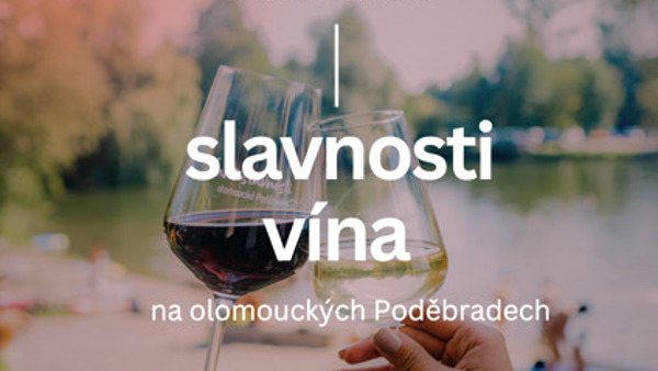 Slavnosti vína