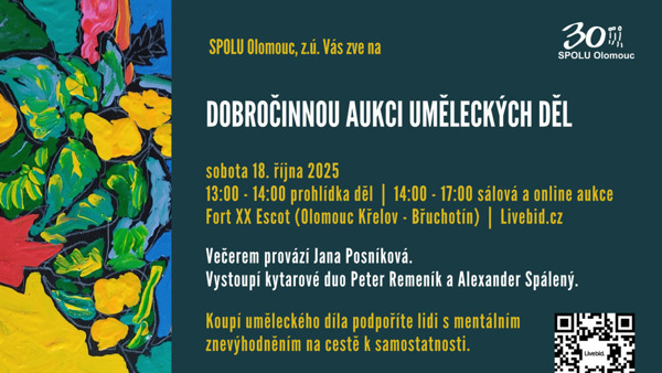 Dobročinná aukce uměleckých děl