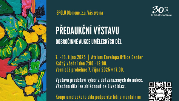 Předaukční výstava