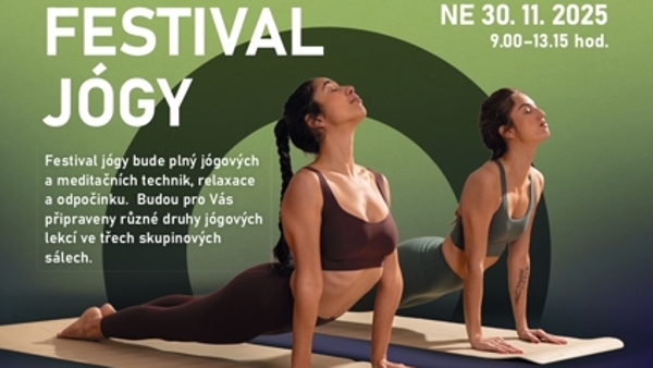 Festival jógy