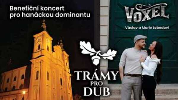 Trámy pro Dub – benefiční adventní odpoledne v Dubu nad Moravou