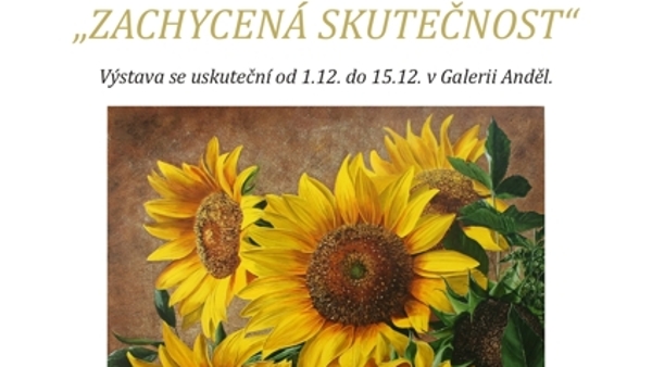 Petr Lichtenberg: Zachycená skutečnost