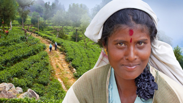 Martin Loew: Srí Lanka