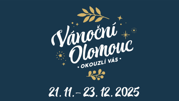 Kluziště a vyhlídkové kolo