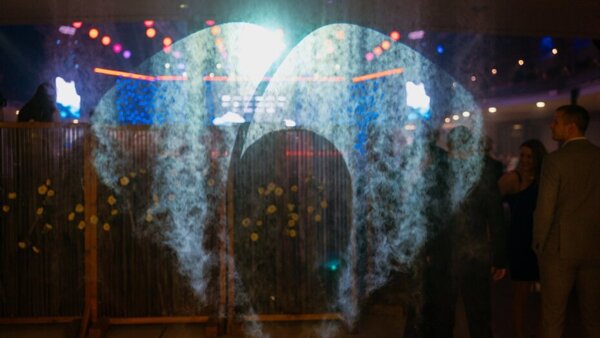 25. reprezentační ples Fakultní nemocnice Olomouc