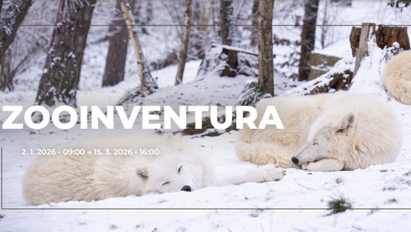 Zooinventura