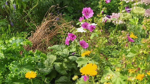 3+1 o zahradničení aneb jak na záhony bez rytí