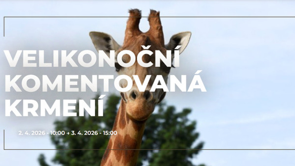 Velikonoční komentovaná krmení