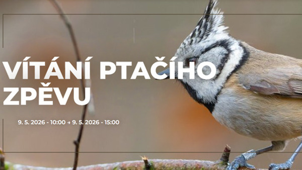 Vítání ptačího zpěvu