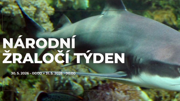 Národní žraločí týden