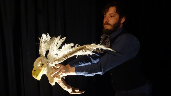 Toy Machine: Jak slon dostal chobot