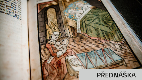 Meluzína ve středověké literatuře a společnosti