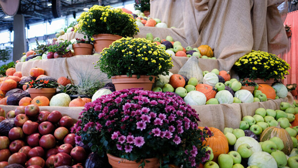 Flora Olomouc - Hortikomplex 2026