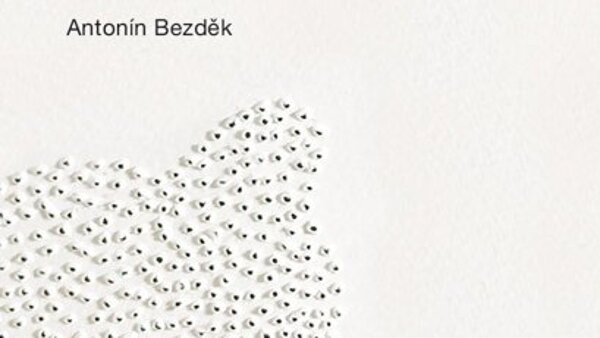 Kristýna Šormová a Antonín Bezděk: A nebo taky ne