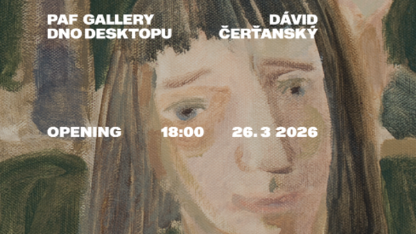 Dávid Čerťanský: Dno desktopu